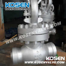 Cast Steel Bw End Globe Valves